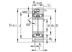 INA ǽӴ ZKLF60145-2Z, ˫,˿ܰװ,϶ܷ