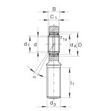 INA ˶ GAR80-DO-2RS,  DIN ISO 12 240-4 ׼,,ά,ഽܷ