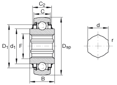 INA  SK100-206-KRR-B-AH11, Ȧ,Ȧο, R ܷ
